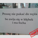 Nawet wąż?