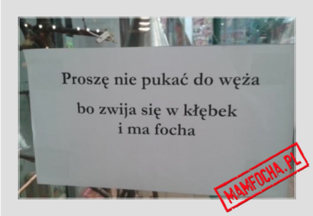 Nawet wąż? 
